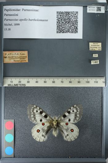 Media type: image;   Entomology 175313
